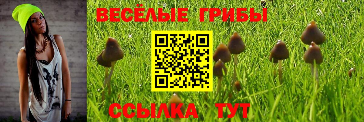 Шебекино  Галлюциногенные грибы мухоморы  Вход с VPN 