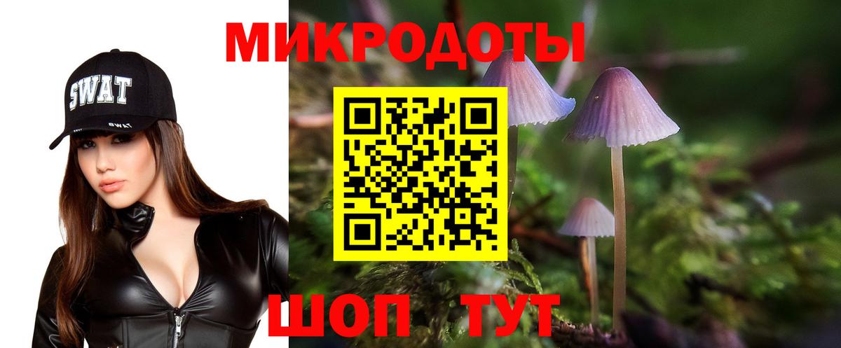 Галлюциногенные грибы мицелий Шебекино
