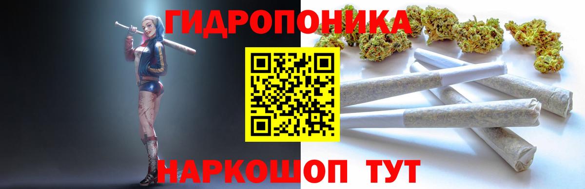 Бошки Шишки марихуана  Вход с VPN  МАРИХУАНА VHQ  Шишки марихуана Amnesia  Шебекино 